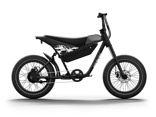 Himiway C5 Sport Electric Bike