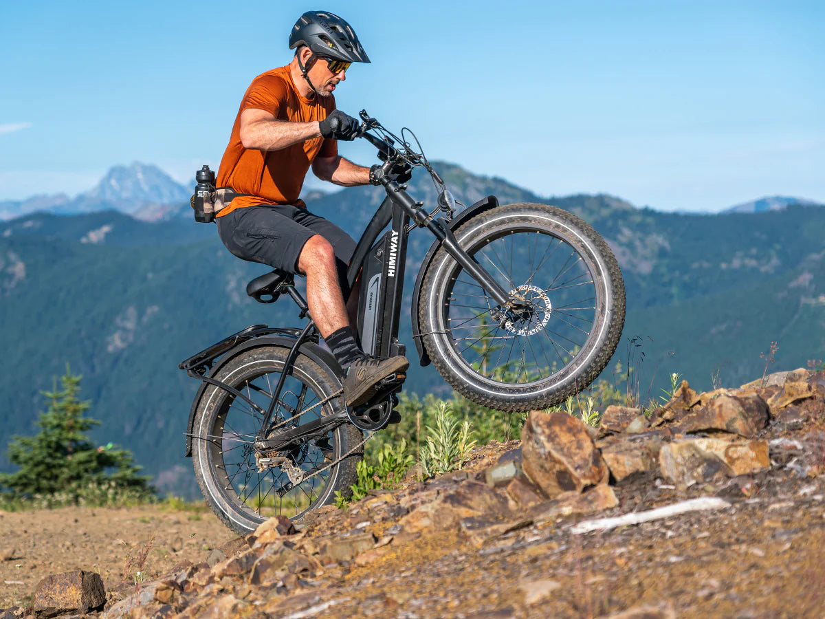 Himiway D3 (Cruiser) | Long Range Fat Tire Electric Bike