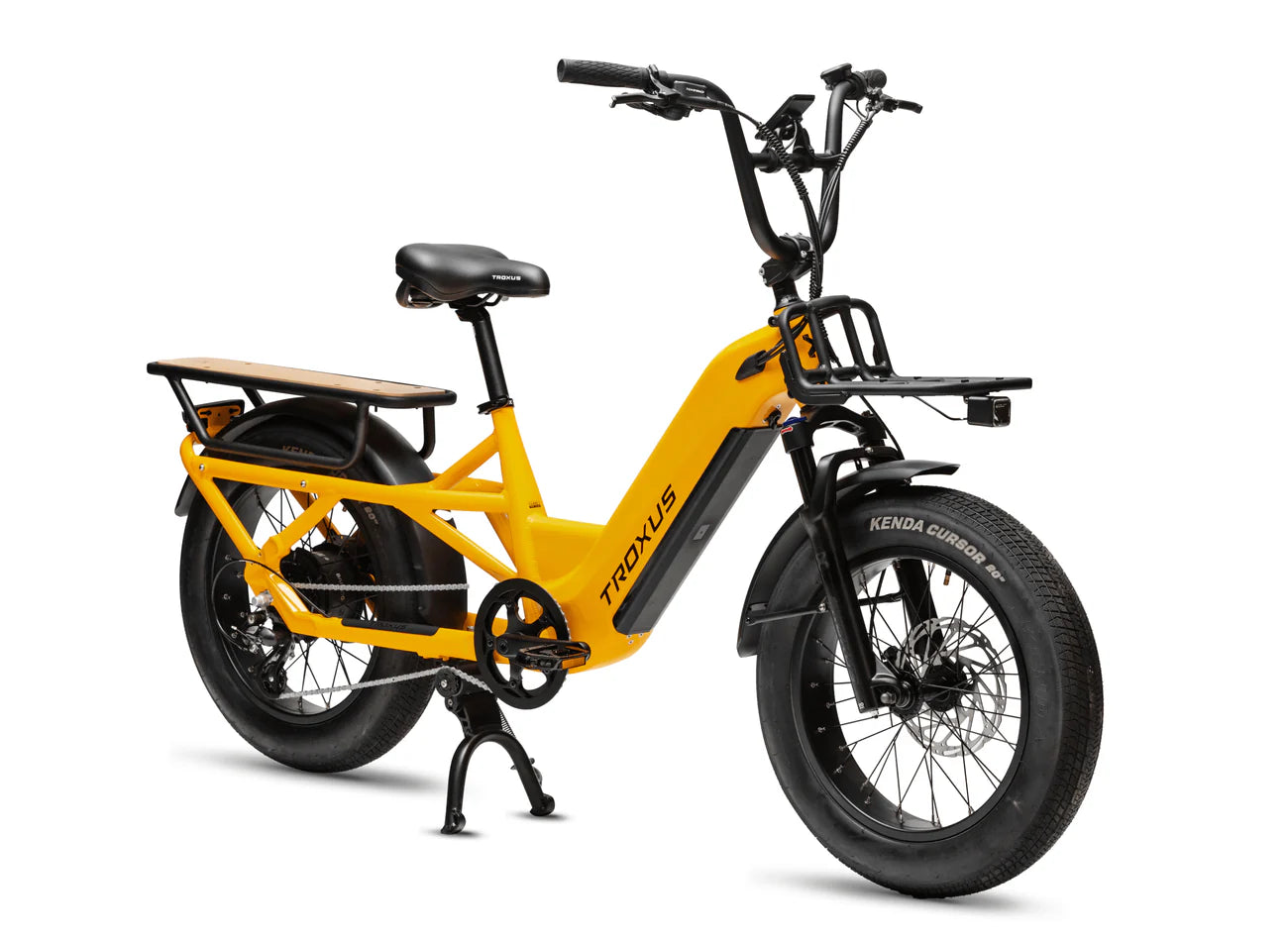 Troxus Lynx Cargo 20" Fat Tire E-Bike